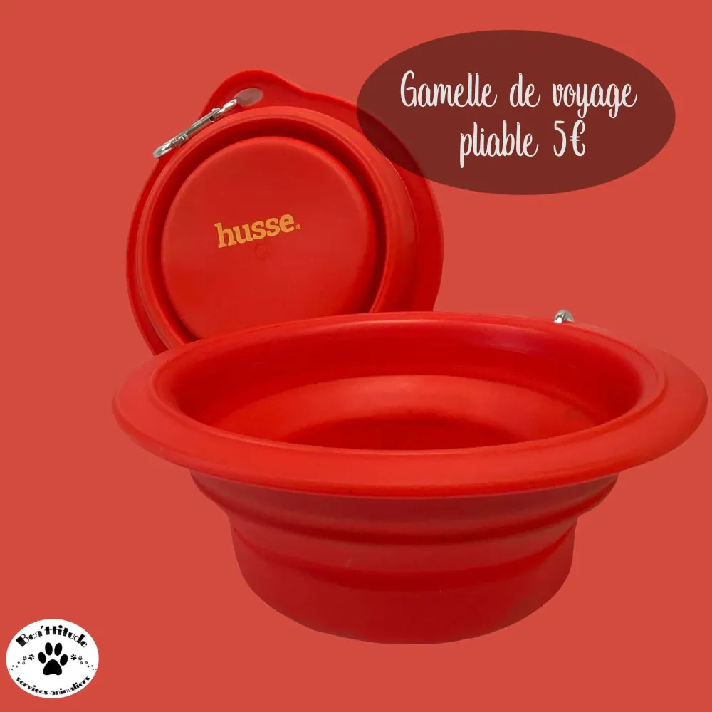 Gamelle de voyage pliable