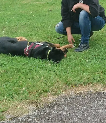 educatrice canin (4)